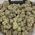 White Runtz – Iconic Candy Exotic