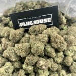 SRG – Exotic Hybrid Gas