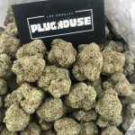 Lemon Cherry – Sweet Zesty Exotic