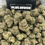 Russian Runtz – Rare Candy Exotic
