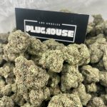 Gelato 42 – Classic Creamy Exotic