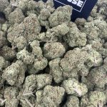 Cherry Lime – Zesty Fruity Exotic