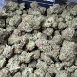 Magic Oreo – Exotic Hybrid Strain