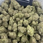 Cherry Gelato – Sweet Dessert Exotic