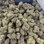 Hi Chews – Candy-Sweet Exotic