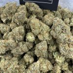 Kosher OG – Classic Earthy Indica