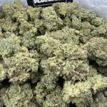 Gorilla Reserve – Heavy Indica Powerhouse