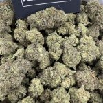 Gelato Cake – Creamy Dessert Indica