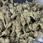 Murda Runtz – Killer Candy Exotic
