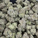 Warheadz – Explosive Gas Exotic