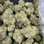 White Fire – Fiery Pine Sativa