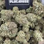 Purple Platinum Bubba – Royal Indica Royalty