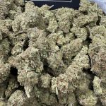 Gas Pump – Heavy-Hitting Exotic Gas