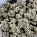 The Jefferey – Ultimate Party Joint