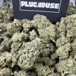 Static – Potent Hybrid Gas