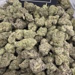 Blue Zlushie – Fruity Exotic Hybrid
