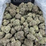 Black Shittlez – Exotic Indica Hybrid