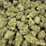 OG Diesel – Classic Fuel Powerhouse